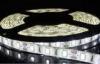 Bridge / garden IP68 waterproof led Strip Backlight SMD 5630 Natural white led flexible strip