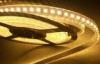 High Brightness Flexible 2835 LED Strip Lighting IP65 IP68 Car LED Strip Lights