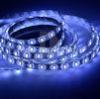 2700K - 7000K Blue Roll SMD 5630 led Strip 60leds 12V IP65 led lighting strips