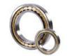 Full Complement Precision Cylindrical Roller Bearing NNF Sealed Crossed Skating SX011814