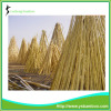 Nature Dry Straight Farming Bamboo Poles for sales