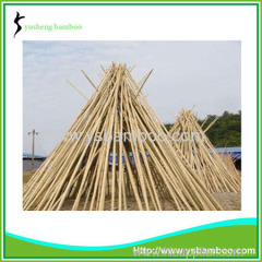 Natural factory moso bamboo poles sale