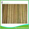 Bamboo stakes for garden