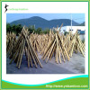 Construction Grade Bamboo Poles