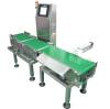 Dynamic Checkweigher with Belt Rejection
