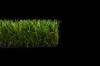 Custom PE Economical Durable Residential Artificial Grass , Fake Grass Landscaping