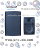 Digital Amplifier 12 inch Active Plastic Speaker