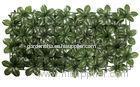 UV Resistant Artificial Hedge Fence Outdoor / Polyester Pittosporum Leaves