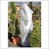 UV Resistance PP Non Woven Fabric Plant Cover For Agricultural Or Horticulture