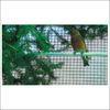 PVC Coated Iron Wire Mesh Garden Fence Or Animal Cage , Bird Wire Mesh