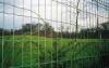 PVC Coated Iron Square Wire Mesh For Prevent Animals Running Away