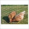 Green PVC Coated Iron Wire Fence , Iron Wire Mesh For Raising Animals