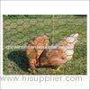 Green PVC Coated Iron Wire Fence , Iron Wire Mesh For Raising Animals