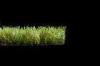 Residential Garden Artificial Grass