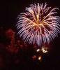 Big Peony Consumer Fireworks un 0336 professional grade fireworks