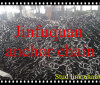 All Size Stud Link Marine Anchor Chains from China