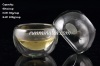 Borocilicate Double-walled Glass Cup