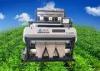 High Accuracy LED CCD Soybeans / Kidne Bean Color Sorter Equipment
