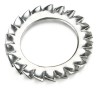 stoped spring washers DIN6798A