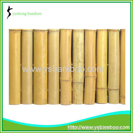 Competitive bamboo lattice garden fence