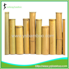 bamboo fences for kids