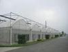 4000mm section plastic film Commercial greenhouses , 8000mm span