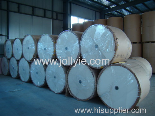 pe cotated paper roll