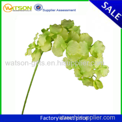 Hot sale decorative vanda orchids