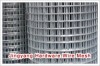 Welded Wire Mesh/Welded mesh panel/ welded wire netting