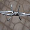 2 Strands 4 Point Galvanized Barbed Wire Fence , Steel Wire Fabric