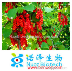 98% HPLC Schisandra Extract Powder