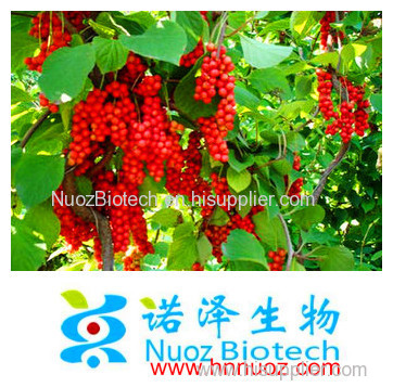 98% HPLC Schisandra Extract