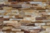 Giga Cultured Stone Limestone Golden Buckeye