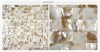 Oil shell mosaic wall stickers