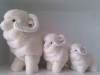 Lovely Genuine Sheepskin Toys