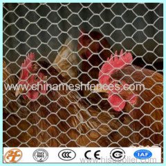 hexagonal wire meesh netting fence