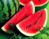 Watermelon powder/ supply kinds of fruit powder