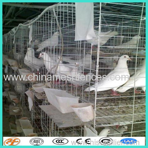 Light Welded Mesh pigeon cage