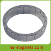 N30SH N33SH N35SH N38SH N40SH N42SH Segment Magnets