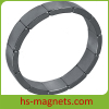 NdFeB Permanent Rare Earth Segment Magnets