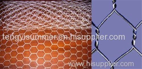 stainless steel Hexagonal Wire Mesh