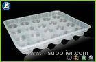 Blister Food Packaging Tray