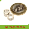 Small Sintered Neodymium-Iron-Boron Rings