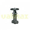 Gate Valve 900 LB 1/2 Inch Rising Stem ASTM A105N