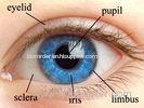 USB IR Camera Eye Detection Biometric Iris Scanner , 15-20cm Iris capture range
