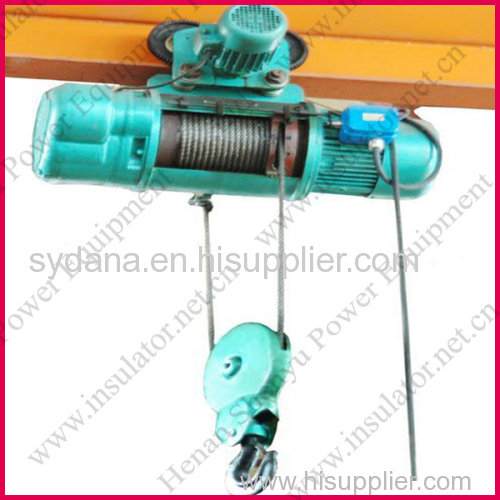 Wire rope electric hoist for crane
