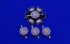 Plant Growing Light 1W High Power Led in Warm white , Natural white , Cool white