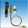 Pilot burner assembly for gea heater