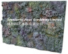 Coral rock background board /Terrarium backround board/3D Naturalistic background board/aquarium decoration