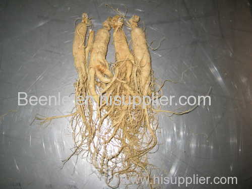 2014 Ginseng root extract powder/ginseng extract powder